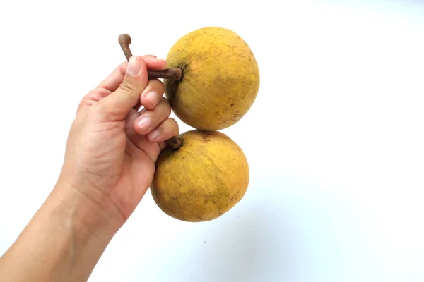 Cópia Mulher Espaço Mão Segurando Dois Maduro Santolor Sentul Frutas — Fotografia de Stock