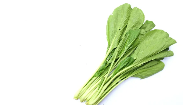 Fresh Green Choy Sum Greens Isolate White Background — Stock Photo, Image