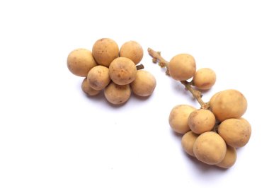 kopyalama alanı Long Gong meyvesi, Lansium paraziti beyaz arkaplan üzerinde izole