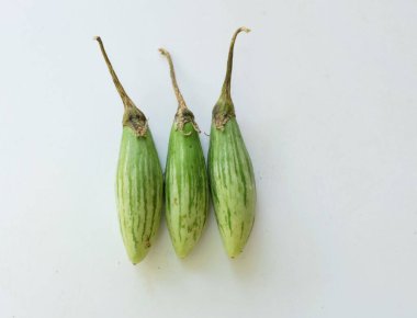 bir Parmak patlıcan (solanum melongena)