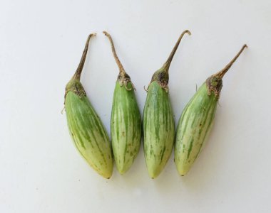 bir Parmak patlıcan (solanum melongena)