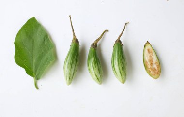 bir Parmak patlıcan (solanum melongena)