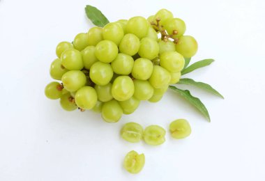 Bir demet taze tatlı yeşil muscat (Vitis vinifera) üzümü, beyaz bir arkaplanda izole edilmiş yapraklarla. Yeşil üzümler. Japon üzümleri. Üzüm yeşili. Tadı tatlı ve doğal..