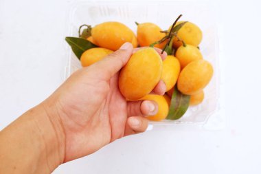 Asyalı bir kadının ellerinde taze taze, olgun Marian eriği ve Tayland eriği yığını uzanır (mayongchid maprang marian eriği ve erik mangosu, thailand). Tayland 'ın sağlıklı meyveleri.