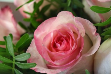 Parlak pembe güller bukette