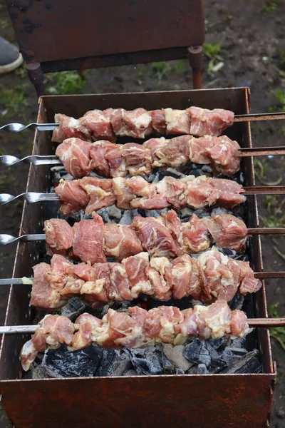 Heerlijke Sappige Barbecue Grill — Stockfoto