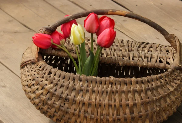 Basket with tulips — Stock Photo, Image