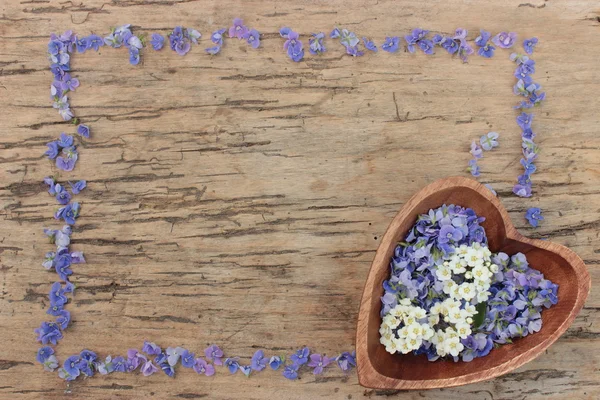 Trä bakgrund med blommor — Stockfoto