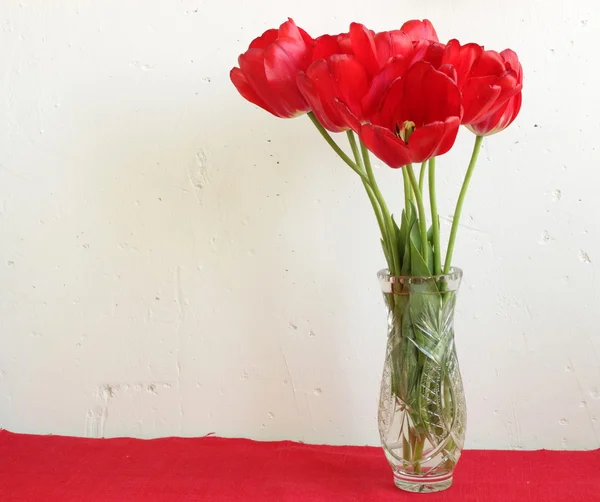 Red tulips — Stock Photo, Image