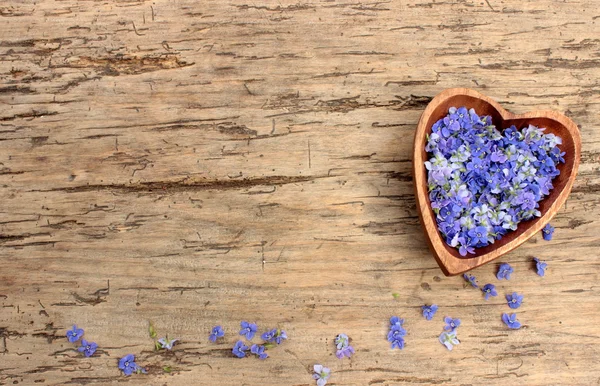 Wooden heart with flowers — Stock Photo, Image