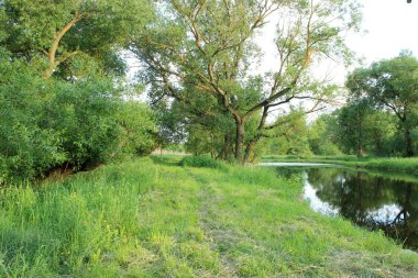 gölet ile yaz peyzaj