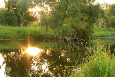 gölet ile yaz peyzaj