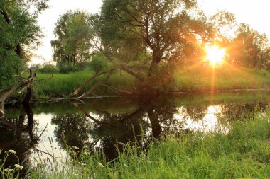 gölet ile yaz peyzaj