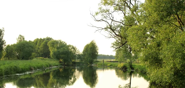 池での夏の風景 — ストック写真