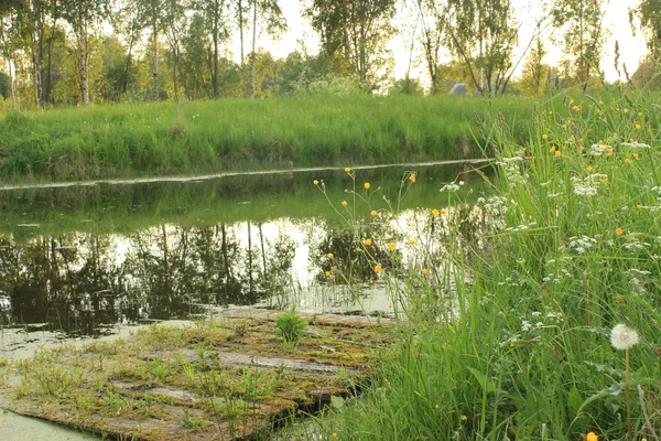 Sommar landskap med damm — Stockfoto