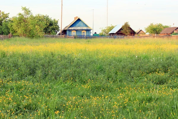 Wiese mit Wildblumen — Stockfoto