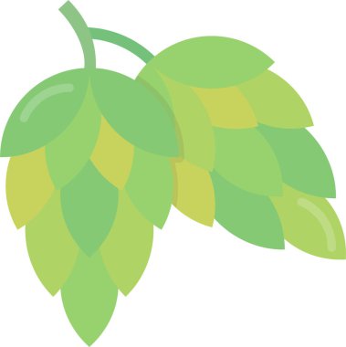 Beyaz arkaplanda izole edilmiş yeşil üzümler