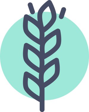 Buğday simgesi vektör illüstrasyonu 