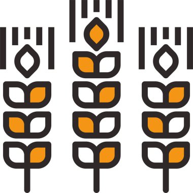 Buğday simgesi vektör şablonu çizimi 