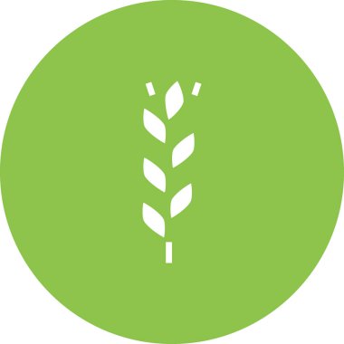 Buğday simgesi vektör illüstrasyonu 