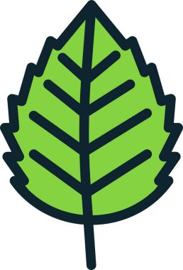 Meşe yaprağı. Web simgesi vektör illüstrasyonu