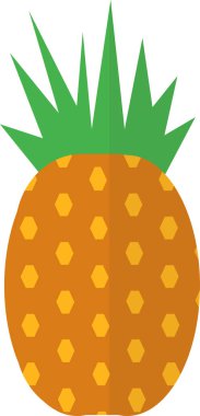 Ananas. Web simgesi basit illüstrasyon