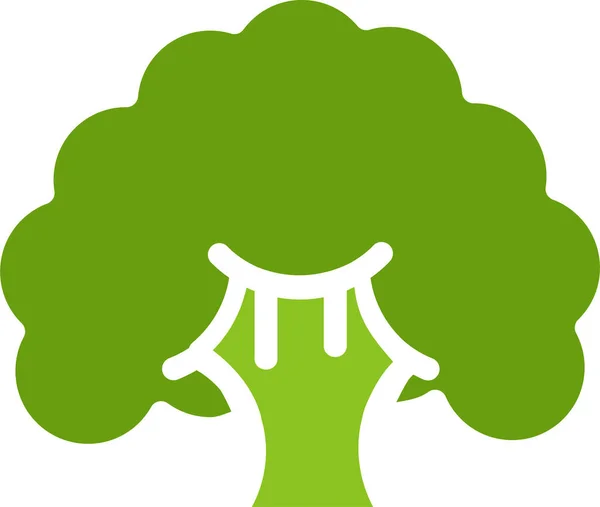 Brokolice Webová Ikona Jednoduchá Ilustrace — Stockový vektor