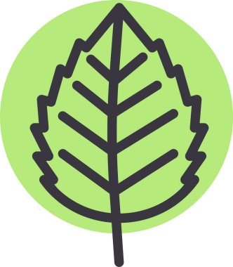 Meşe. Web simgesi basit illüstrasyon