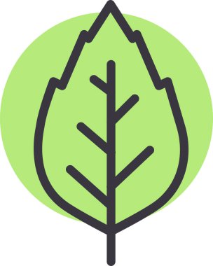 Yaprak. Web simgesi basit illüstrasyon