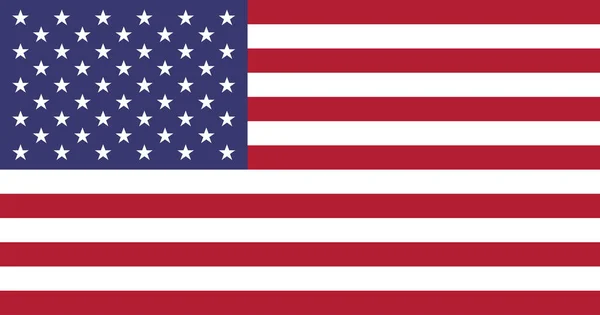 Usa Flaggenvektorillustration — Stockvektor
