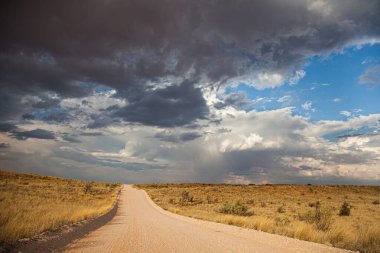 Yazın Kalahari manzarası.