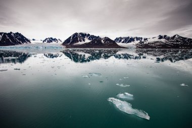 Kuzey Kutup Dairesi 'nde Svalbard' da kutup okyanusu manzarası