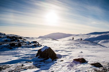 Dovrefjell Ulusal Parkı 'ndaki dağların tepesinde duruyor.