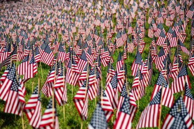 Çimlere yüzlerce Amerikan bayrağı dikildi.