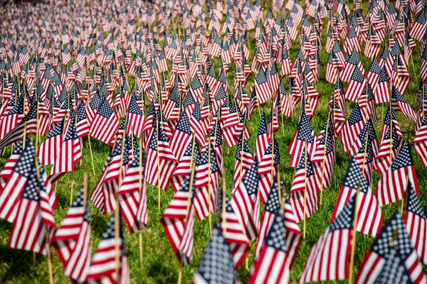 Çimlere yüzlerce Amerikan bayrağı dikildi.