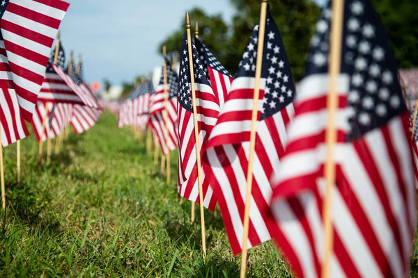 Çimlere yüzlerce Amerikan bayrağı dikildi.