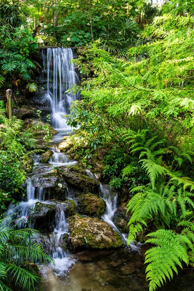 Şelale miktarı Florida 'daki yeşil bitkiler.