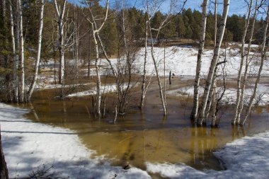 Güzel bahar ahşap. Peri masalı gibi. İyi bir ruh hali ile