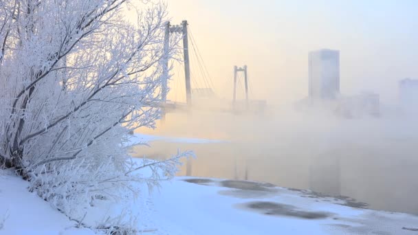 Γέφυρα Της Πόλης Πάνω Από Ποτάμι Χειμώνα Αστικό Τοπίο Μια — Αρχείο Βίντεο