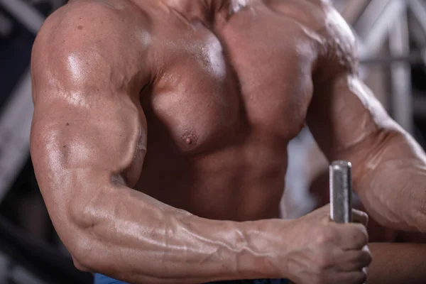 Torso Hombre Fuerte Que Dedica Construcción Músculo Simuladores Torso Del —  Fotos de Stock