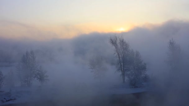 Mgła na rzece w mroźny zimowy dzień. Mgła dryfuje w dół rzeki w chłodny zimowy dzień. — Wideo stockowe