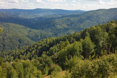 Yüksek bir yerden doğal görüntüler. Yüksek bir noktadan güzel panoramik manzara
