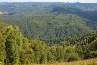 Yüksek bir yerden doğal görüntüler. Yüksek bir noktadan güzel panoramik manzara