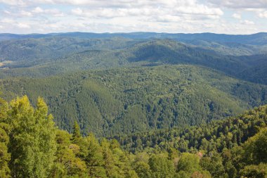 Yüksek bir yerden doğal görüntüler. Yüksek bir noktadan güzel panoramik manzara