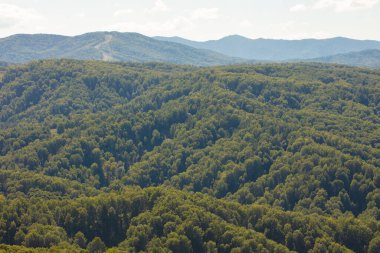 Yüksek bir yerden doğal görüntüler. Yüksek bir noktadan güzel panoramik manzara