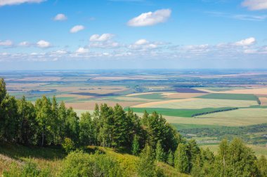 Yüksek irtifadan tarlaların güzel manzarası. Arazinin güzel panoramik manzarası yüksek bir bakış açısıyla