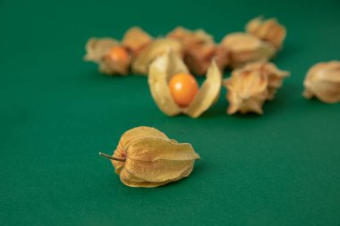 Yeşil arka planda sulu bitki kökü meyvesi