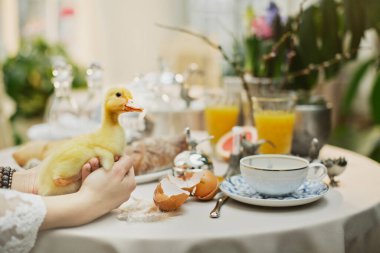 Güzel ve rahat Paskalya sofrası dekorasyonu