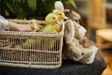 Güzel ve rahat Paskalya sofrası dekorasyonu