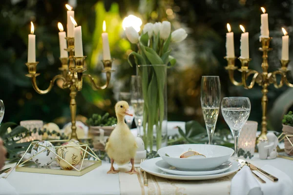 Güzel ve rahat Paskalya sofrası dekorasyonu